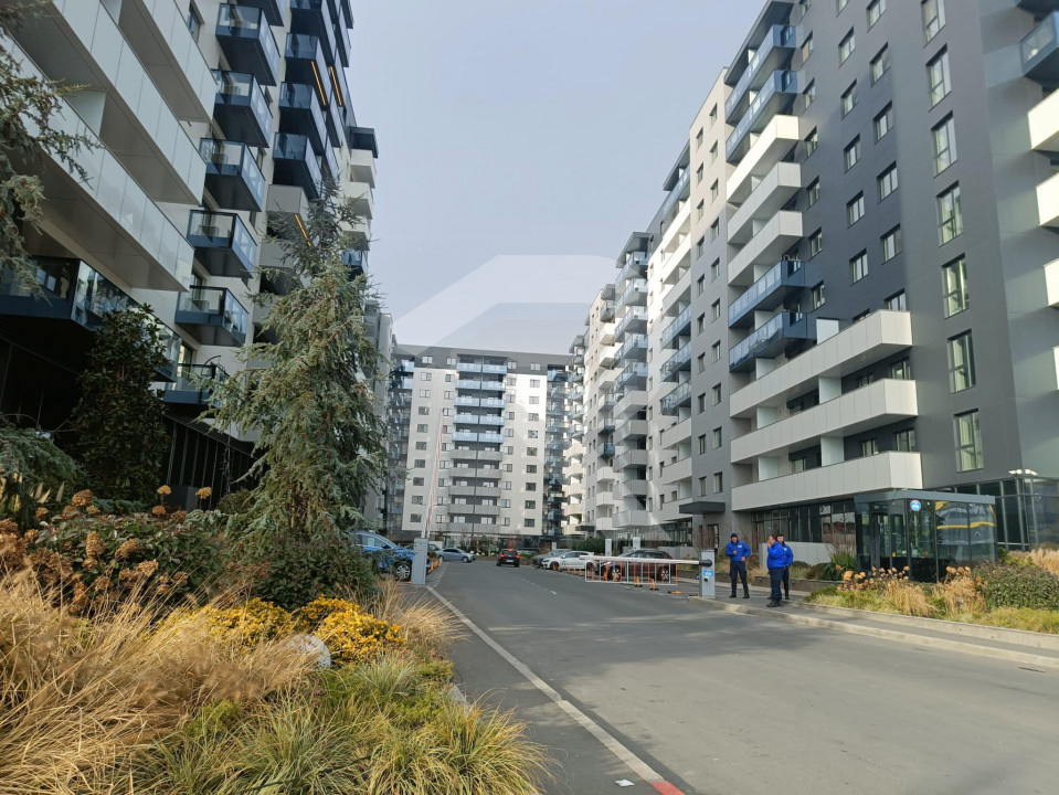 Cortina north-Pipera