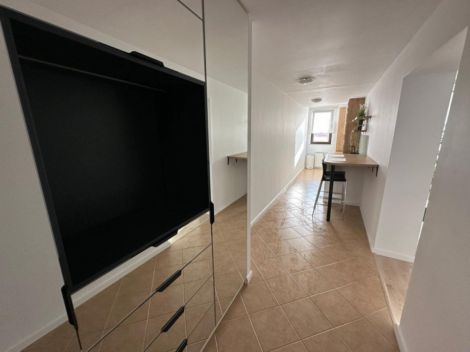 Studio Herastrau- North Area Lake View Zagazului