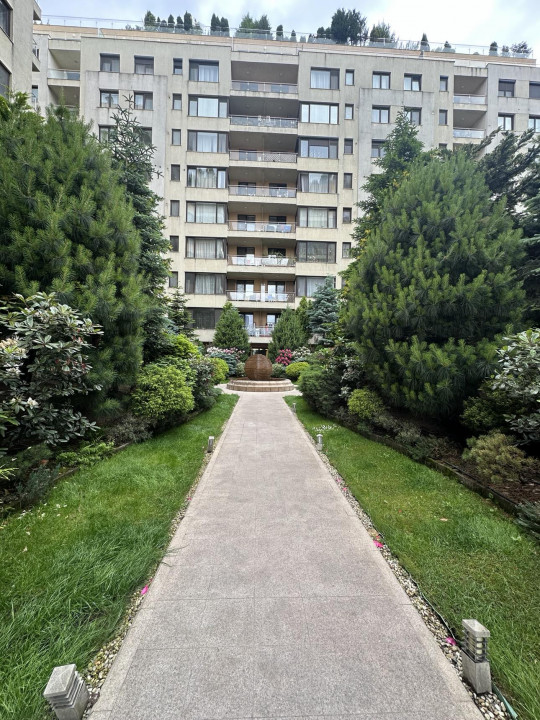 Studio Herastrau- North Area Lake View Zagazului