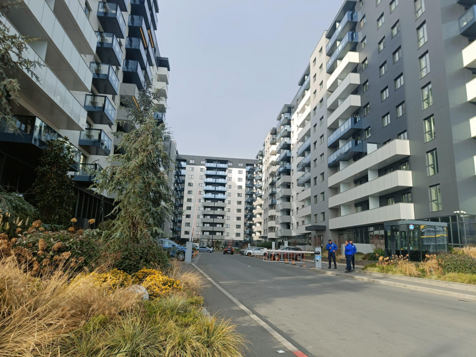 Cortina north- Pipera