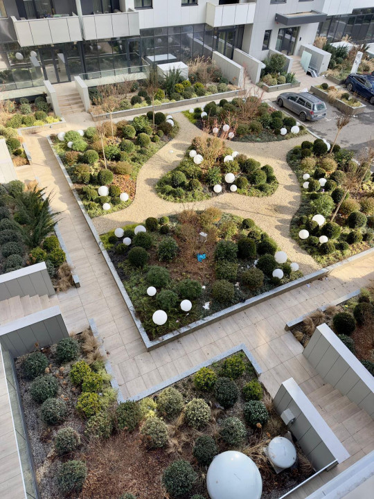 Cortina north- Pipera